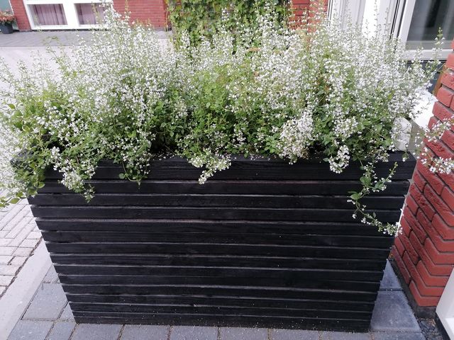 Rib plantenbak