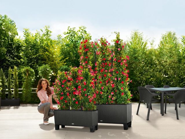 Terrasafscheiding kunststof