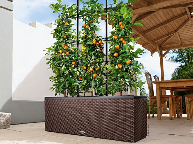 Kunststof plantenbak met klimrek