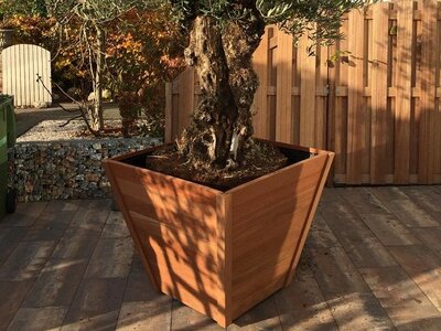 Plantenbak TW Taps - Hardhout