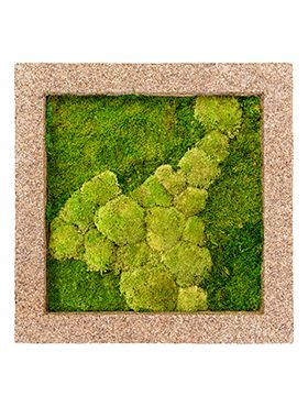 Naturecast L