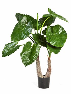 Kunstplant - Alocasia calidora