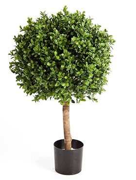 Kunstplant - Buxus