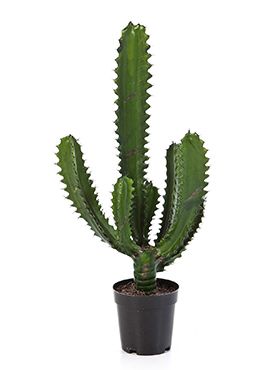 Kunstplant - Finger cactus