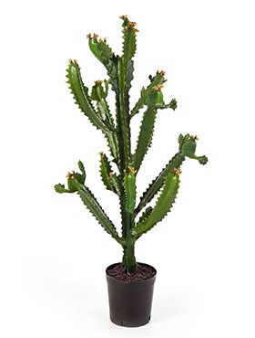Kunstplant - Euphorbia cactus