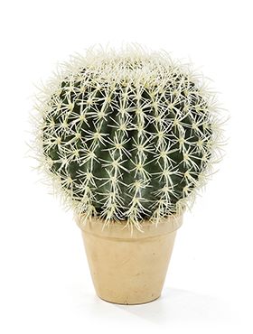 Kunstplant - Golden barrel cactus