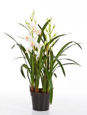 Kunstplant - Cymbidium orchid