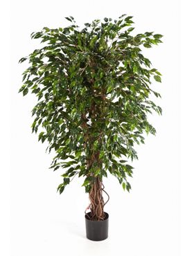 Kunstplant - Ficus hawaiian liana