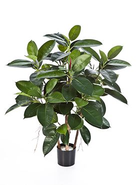 Kunstplant - Rubber plant