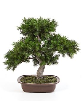 Kunstplant - Pinus bonzai