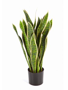 Kunstplant - Sansevieria var